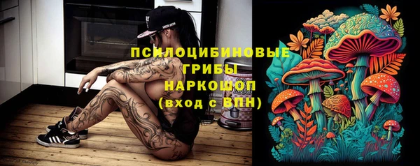 мяу мяу мука Балабаново