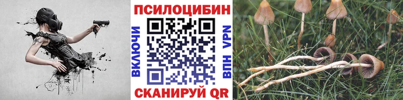 Галлюциногенные грибы Cubensis  Красный Кут 